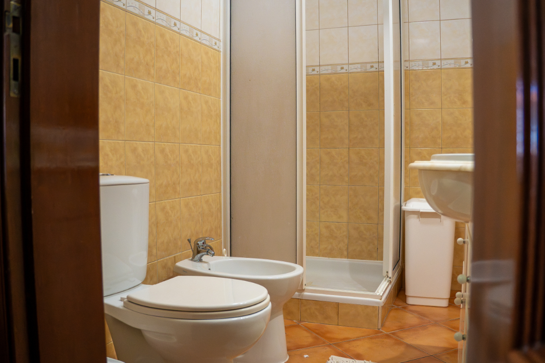 Palmeira 6 - Photo 3