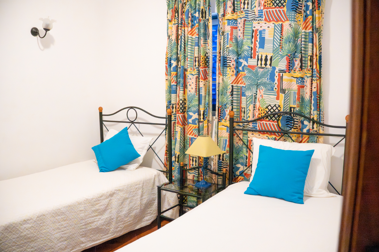 Palmeira 3 - Photo 2