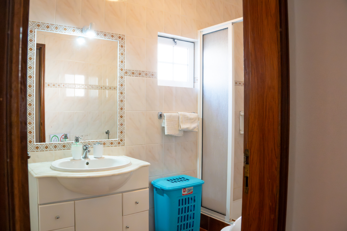 Palmeira 3 - Photo 4