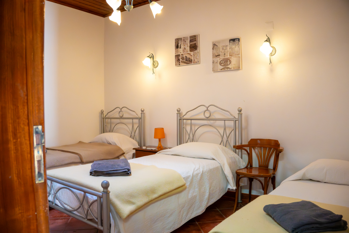 Palmeira 8 - Photo 3